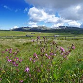 huetten und wiesen am villanderer totenweg