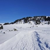 winter wiesen bei auf der schoen unter dem rittnerhorn