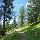 wiesen bei plafoetsch alm