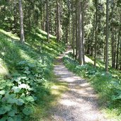 weg nr plafoetsch nach haniger schwaige