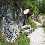 weg nr von plafoetsch nach haniger schwaige