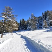 winter wanderweg und loipe bei schoenrast alm