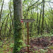 nussental weg nach altenburg