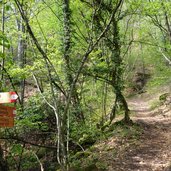 nussental weg nach altenburg abzweigung