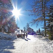 schmieder alm winter