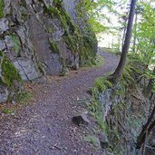 weg a im wald bei freiberg