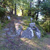 weg a im wald bei freiberg