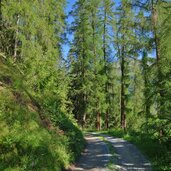 weg nr richtung penauder alm