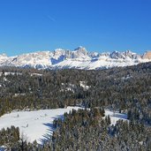 winter wald und rosengarten