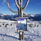 premium panorama tour rittnerhorn winter