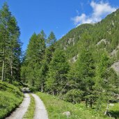 weg nr richtung penauder alm