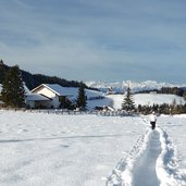 wanderweg bei petersberger leger winter