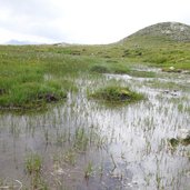 penser joch gaensekragen rundweg bergsee