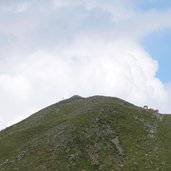 penser joch gaensekragen rundweg haflinger sommerweiden