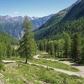 weg nr im penaudtal