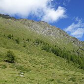 penaud almlandschaft unter wiegenspitze fr