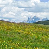 blick auf dolomiten ueber gasteiger sattel