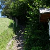 waalwege schluderns vinschgau sonnensteig