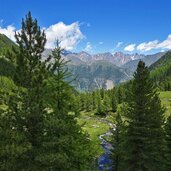 wiesen im penaudtal