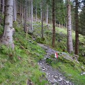 weg nr richtung seebergalm