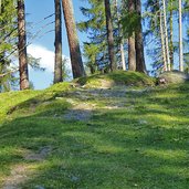 wanderweg nach radlsee bei kuehhof latzfons