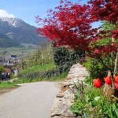 wallburgweg abstieg nach naturns