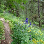 vinschger hoehenweg im matschertal