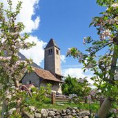 naturns st prokulus kirche apfelbluete