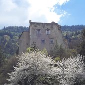 schloss dornsberg tarantsberg