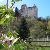 schloss dornsberg tarantsberg