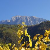 herbst blick zum schlern