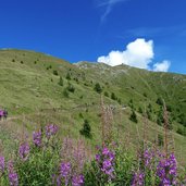 weg nr zur bergstation helm