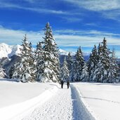 rosskopf winterwanderweg flaner joechl