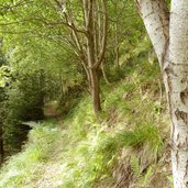 weg nr nach st pankraz