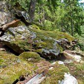 wald am weg nr nach st pankraz