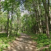 burgstaller hoefeweg aufstieg nord