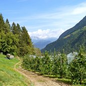 ultener talweg bei tschahaun st pankraz obstwiesen