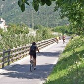 radweg bei naturns