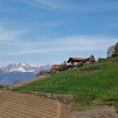 hecherhof am burgstaller hoefeweg