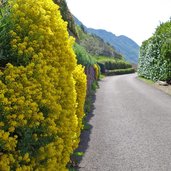 hoefeweg burgstall