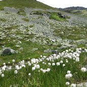 landschaft bei scarljoch