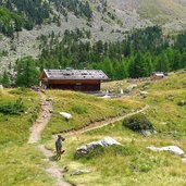 zirmtalalm