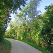 passer radweg zwischen riffian und saltaus