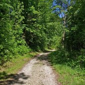 weg leuchtenburg forstweg