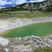 limosee und col becei