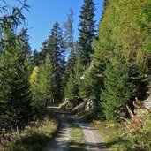 forstweg zu puntleider seealm