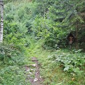 fussweg nach prantach und pfandleralm