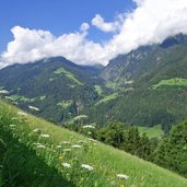 wiesen bei prantach blick richtung kalmtal und madgfeld