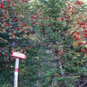 wanderpfad zu puntleider seealm