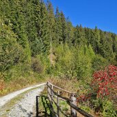 forstweg zu puntleider seealm